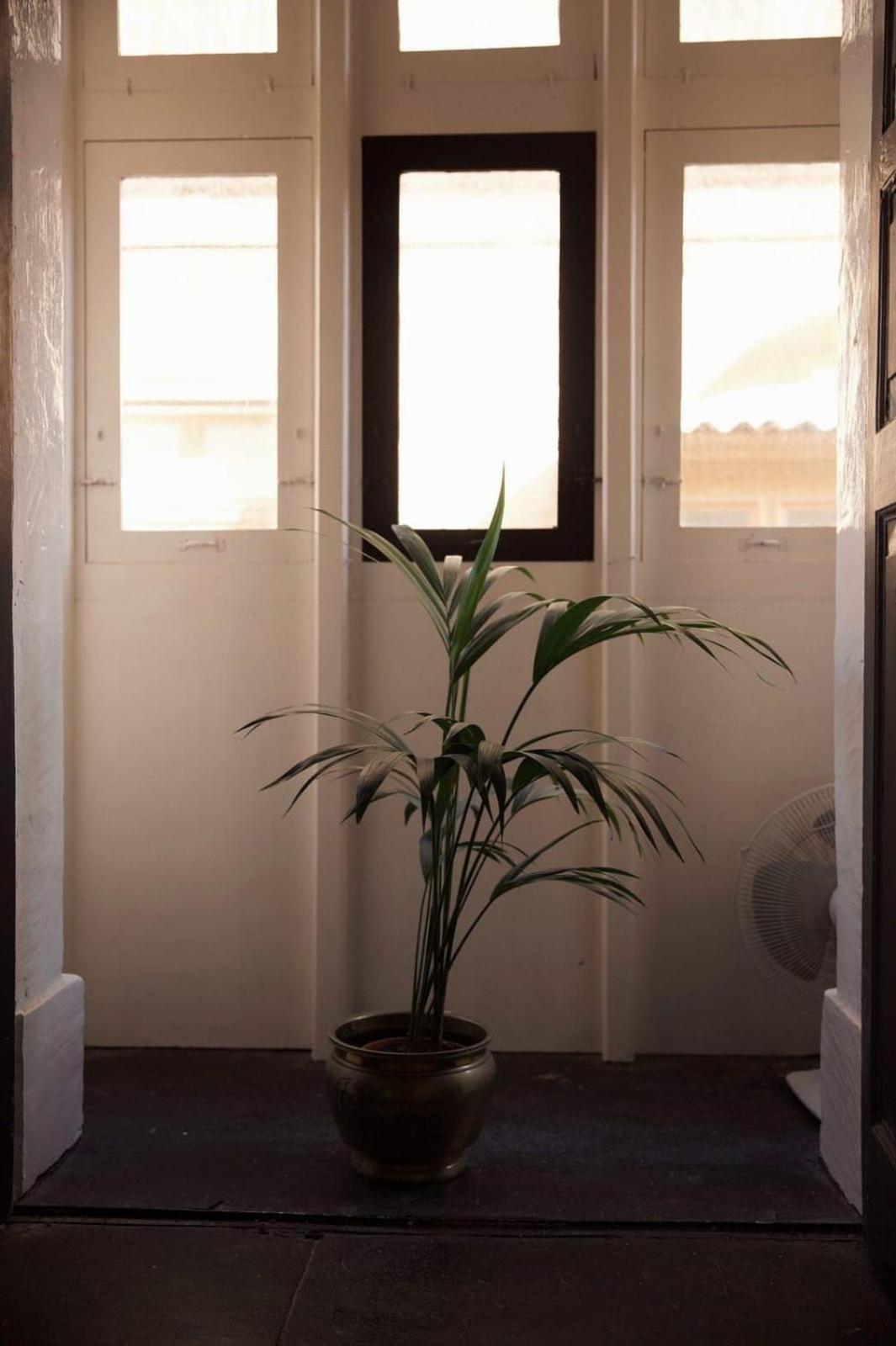Grand House Of Character Valletta إيل فورجانا الغرفة الصورة